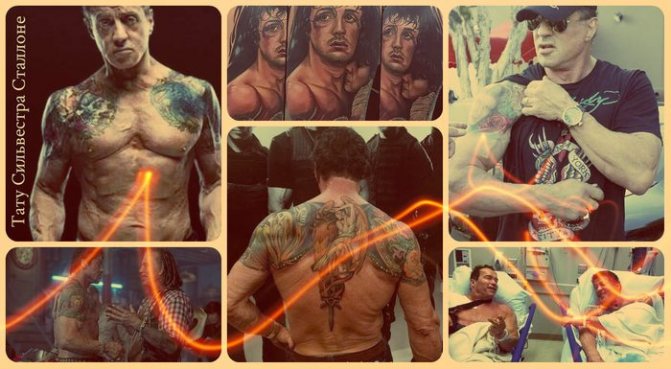 Tatouages et signification de Sylvester Stallone