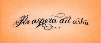Tatouages avec signification pour les filles - inscriptions avec traduction et leur signification. Photo