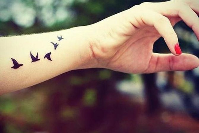 Tatouages d'oiseaux