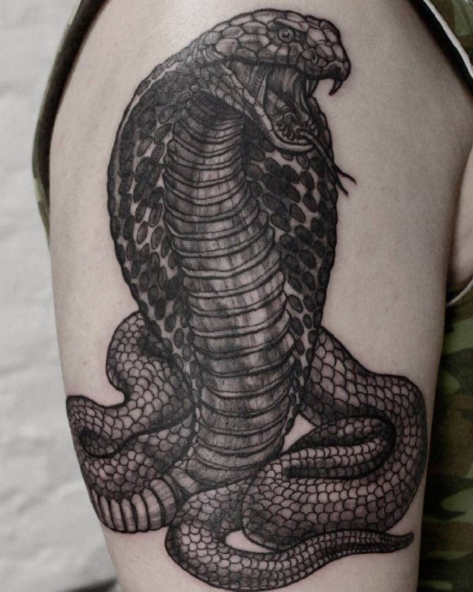 tatouages de serpent