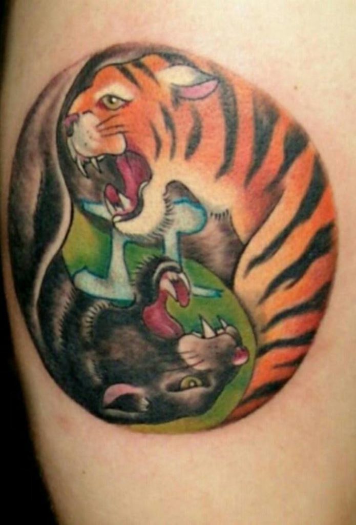 Tigre et panthère