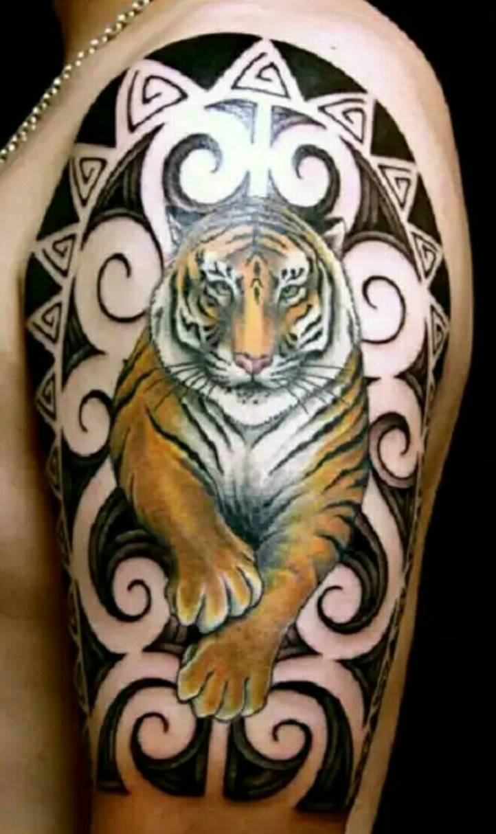 Tigre sur l'épaule