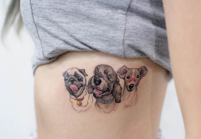 trois animaux