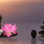 Les enseignements du zen : une branche de la philosophie religieuse appelée bouddhisme.