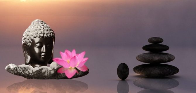 Les enseignements du zen : une branche de la philosophie religieuse appelée bouddhisme.