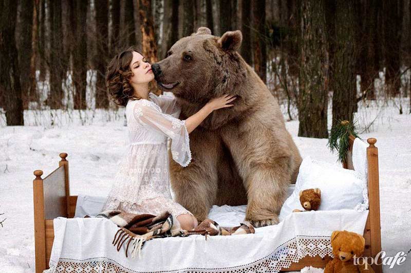 Des photos d'ours étonnantes