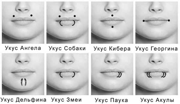 Une morsure dans un piercing à la lèvre