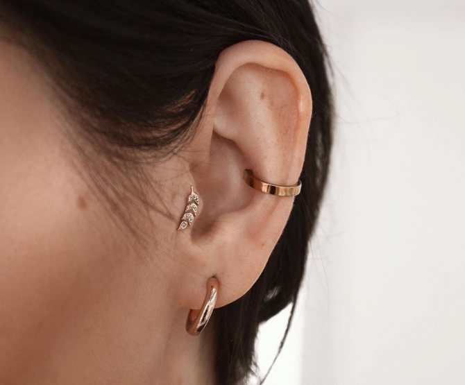 oreilles