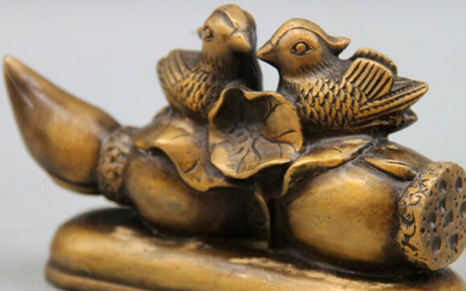 Canards mandarins Feng shui