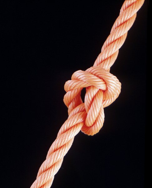 nœud (487x600, 77Kb)