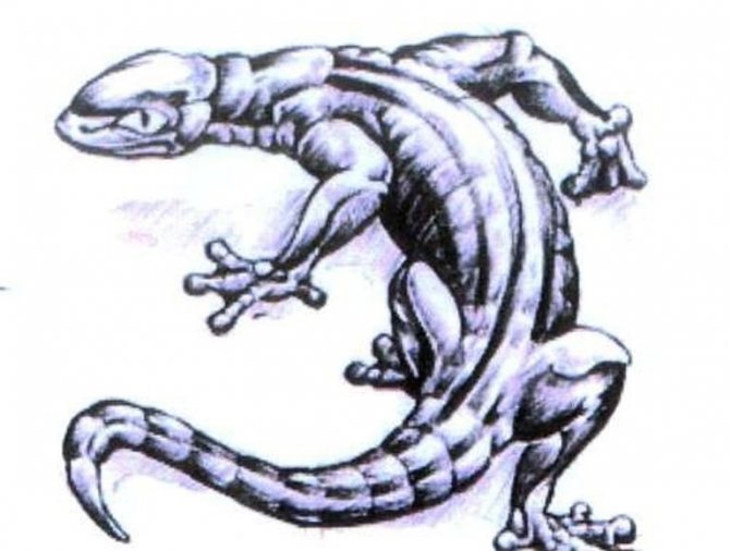 Variante de l'esquisse pour le tatouage dimensionnel d'un Varan