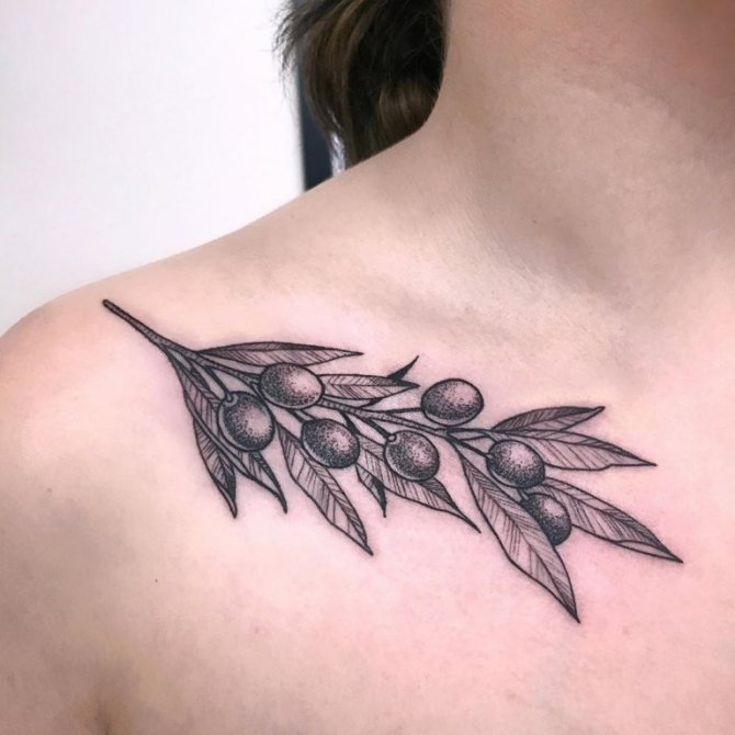 tatouage de branche d'olivier