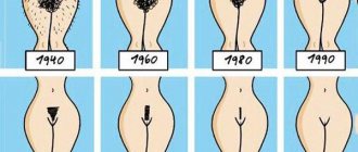 Types de coupes de cheveux intimes féminines : conception du bikini à la maison