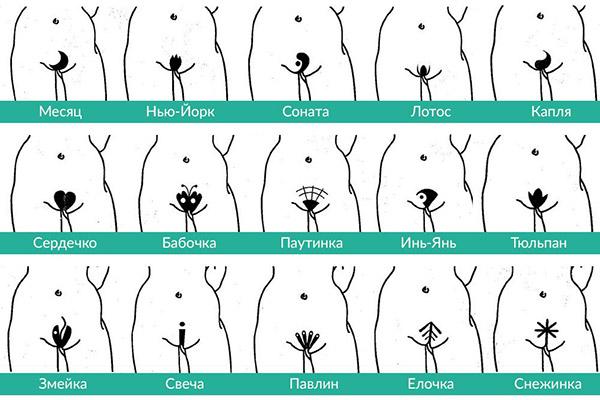 Coupes de cheveux intimes féminines : le design du bikini à la maison
