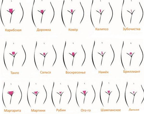 Coupes de cheveux intimes féminines : le design du bikini à la maison