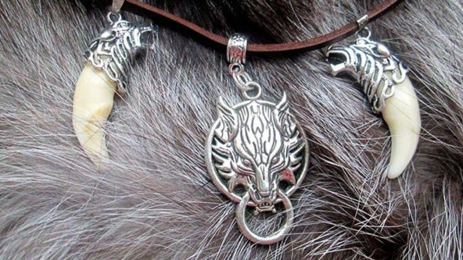 Wolf Fang