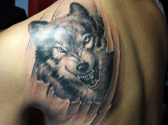 Un tatouage de sourire de loup. Photo, valeur sur l'épaule, l'avant-bras, le dos, le bras
