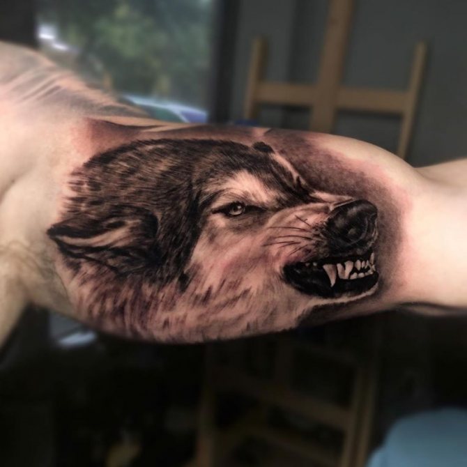 tatouage de sourire de loup