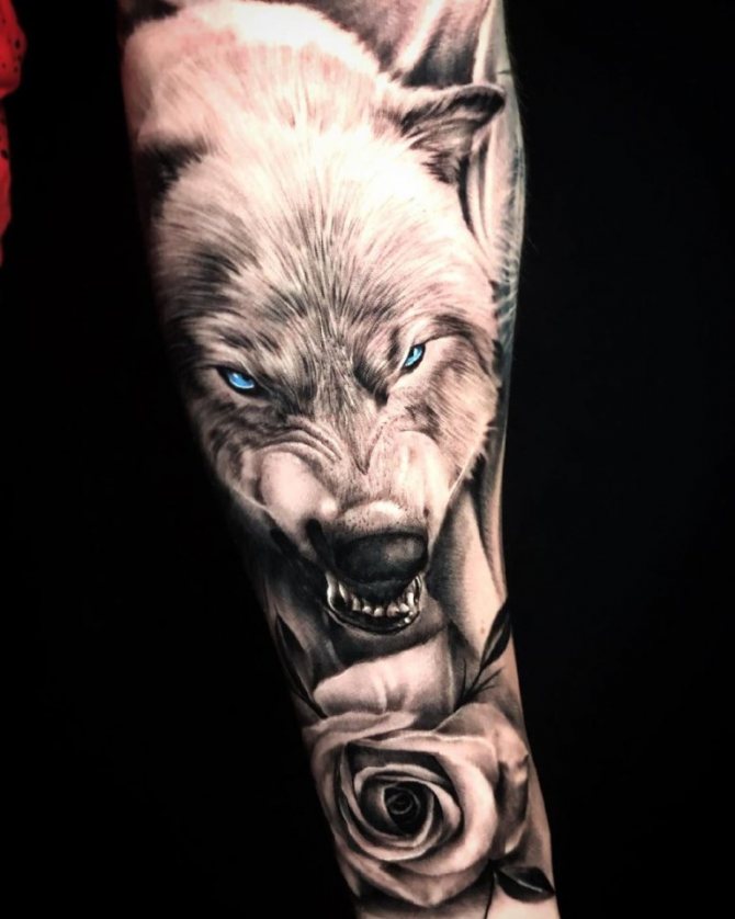 sourire de loup