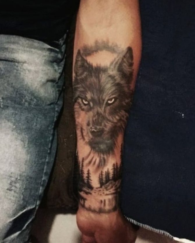 Loup à portée de main