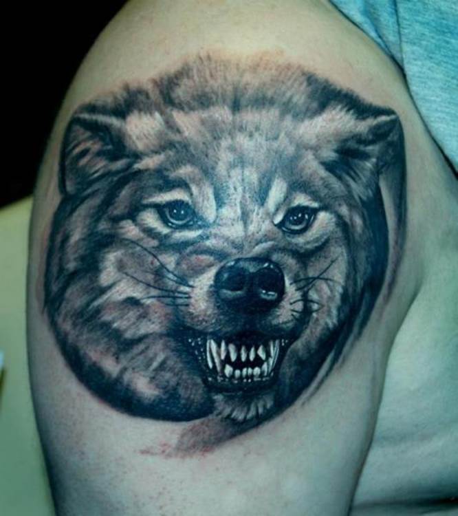 Loup aux crocs grimaçants