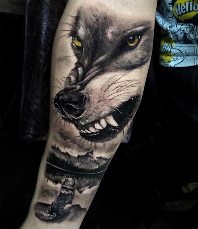 loup avec un sourire
