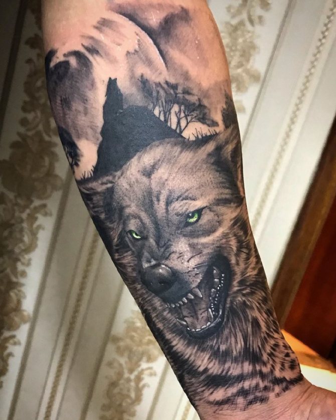 sourire de loup