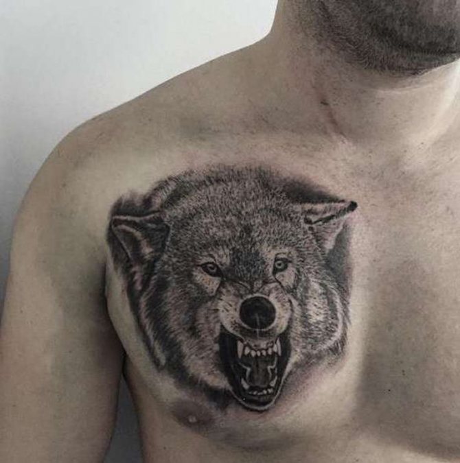 loup