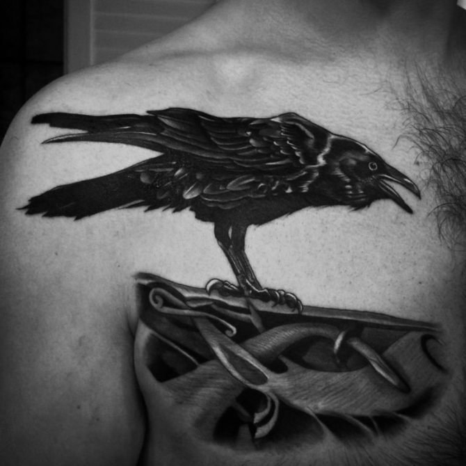 Raven Hugin