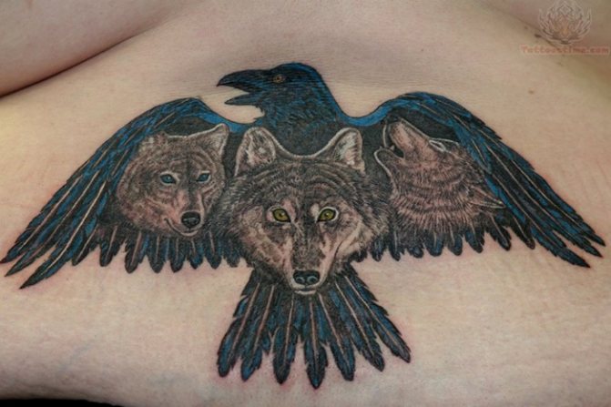 Corbeau avec d'autres animaux