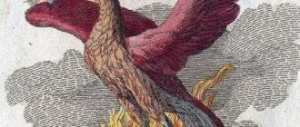 Le phénix renaît de ses cendres