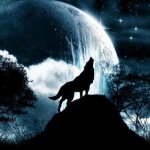 tatouage de loup hurlant sur la lune