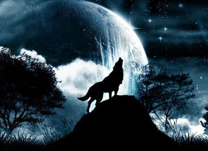 Tatouage d'un loup hurlant sur la lune