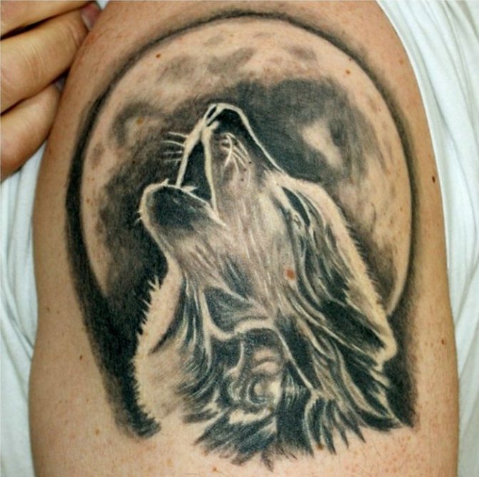 loup hurlant