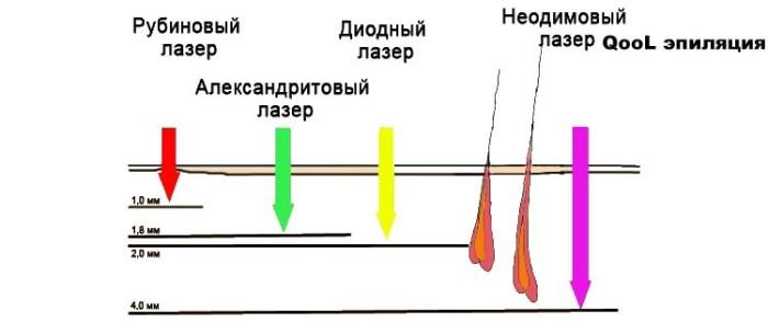 Tout sur les coupes de cheveux en bikini, l'épilation et la conception de bikinis pour les hommes et les femmes.