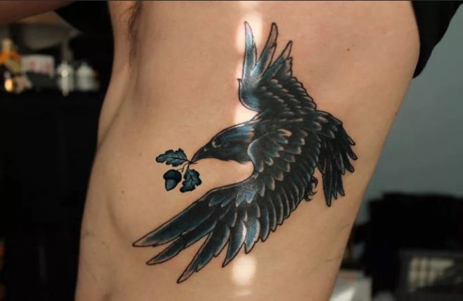 Corbeau volant