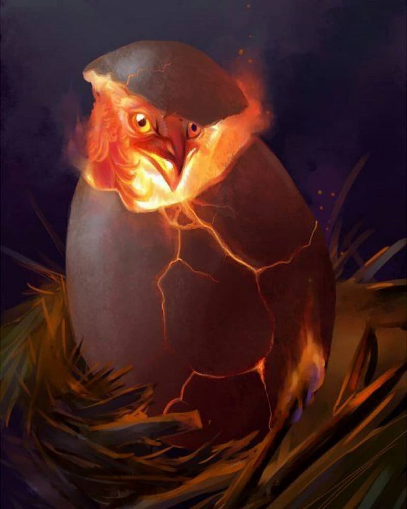 Œuf et poussin du phénix / © Hannah Böving / bestiary.us