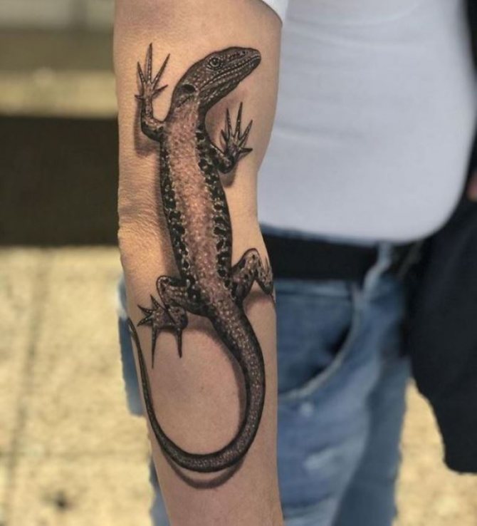 lézard symbole de quoi