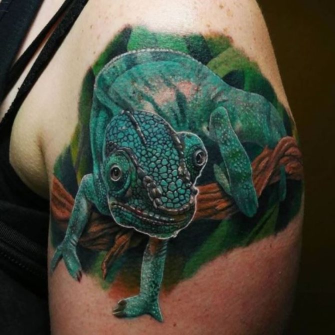 le lézard symbolise