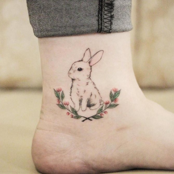 lièvre à la patte