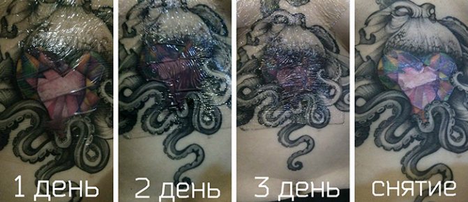 Film sur la guérison des tatouages. Instruction comment utiliser, quoi acheter, soins du tatouage