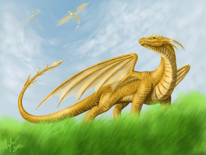 Dragon jaune