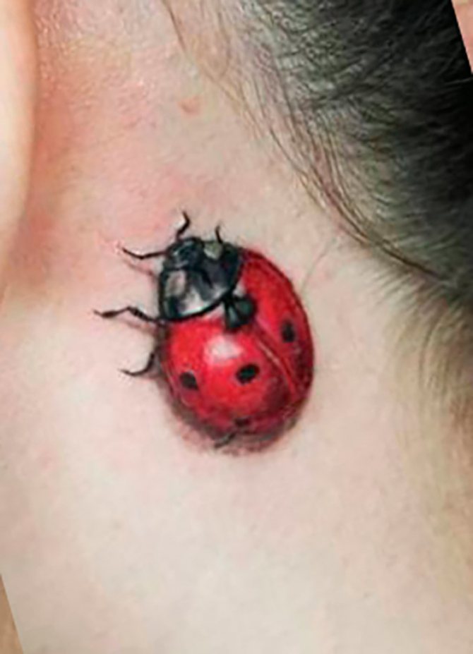 Tatouage d'amulette de coccinelle pour femme