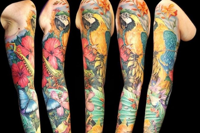 Animaux et plantes