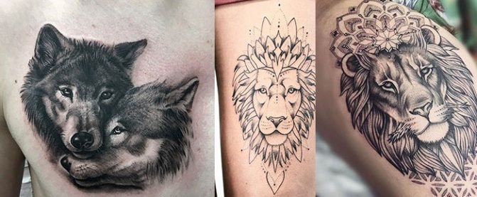 Animaux