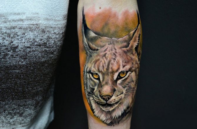 Le monde animal
