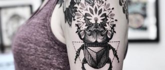 Tatouage de scarabée. Signification, croquis, photos sur la jambe, la main, le poignet, le dos, la nuque