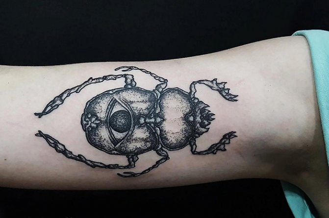 Tatouage de scarabée. Signification, croquis, photos sur les jambes, les bras, le poignet, le dos et le cou