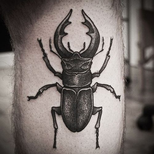 Tatouage de scarabée. Signification, croquis, photos sur les jambes, les bras, le poignet, le dos et le cou