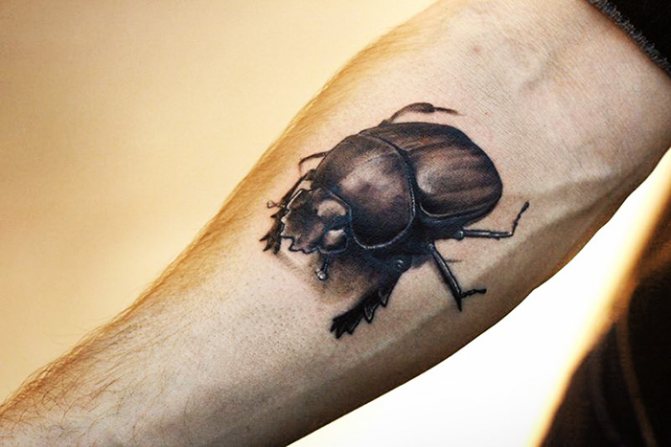 Tatouage de scarabée. Signification, croquis, photos sur les jambes, les bras, le poignet, le dos et le cou